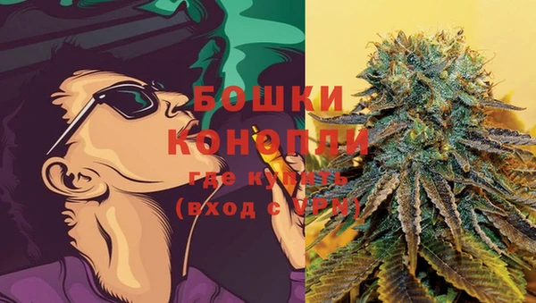 PSILOCYBIN Балахна