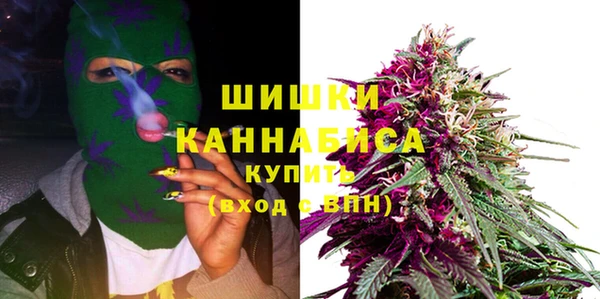 PSILOCYBIN Балахна