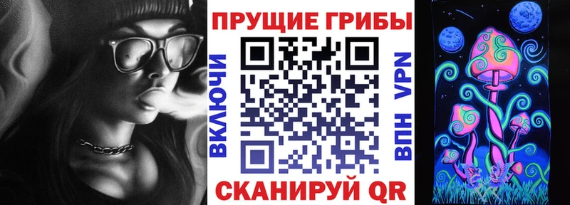 Псилоцибиновые грибы Cubensis Усть-Джегута